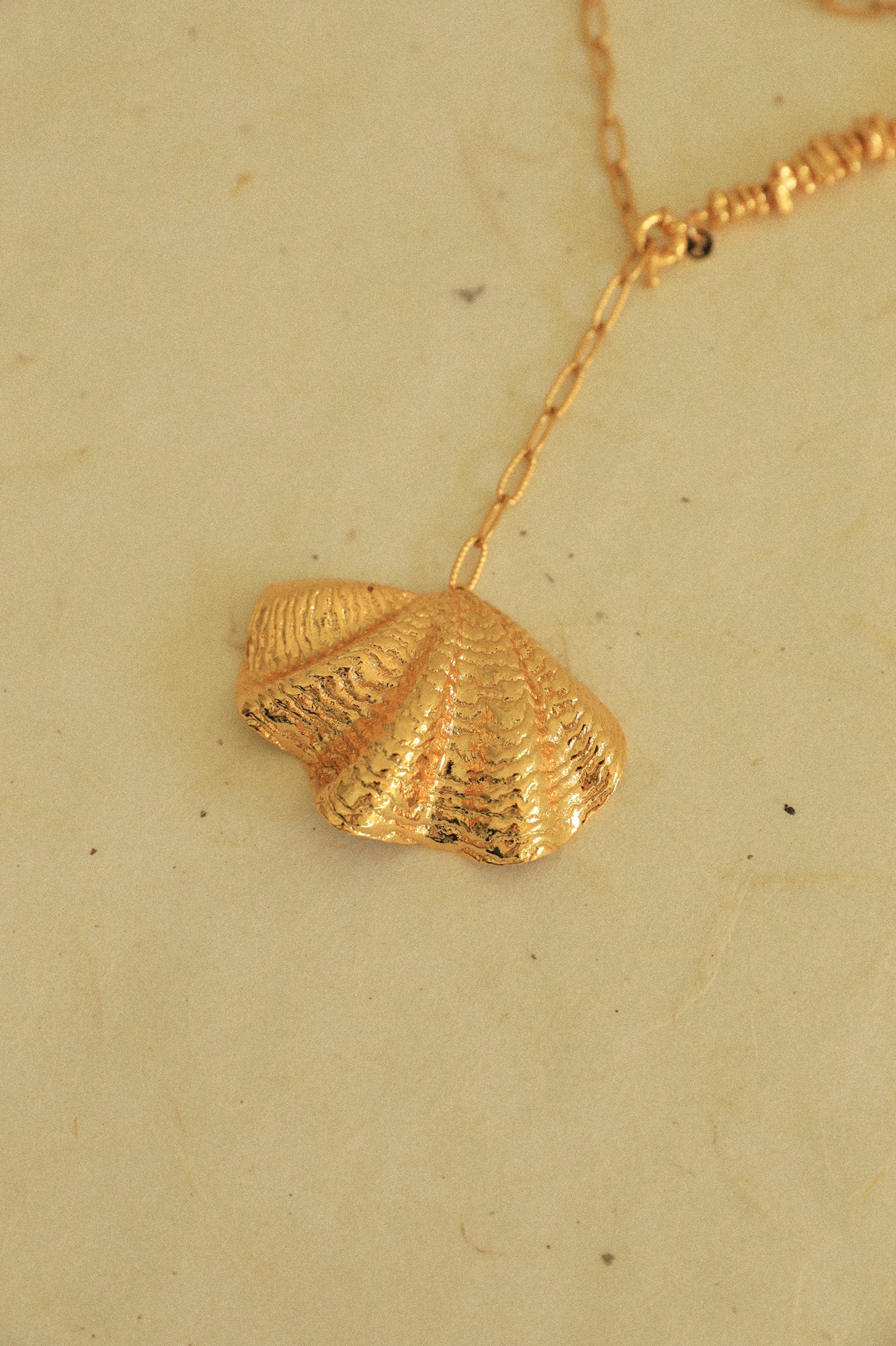 Sautoir Coquille