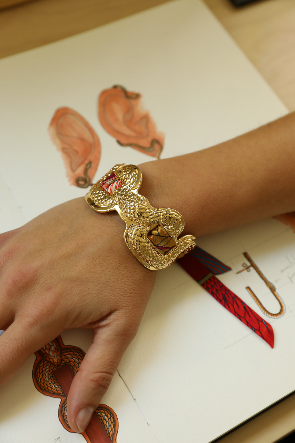 Manchette Serpentaire et ruban Carrousel, coloré