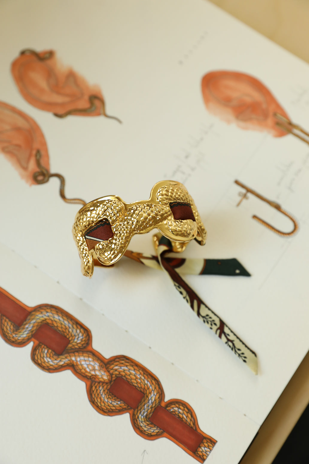 Manchette Serpentaire et ruban Capricorne