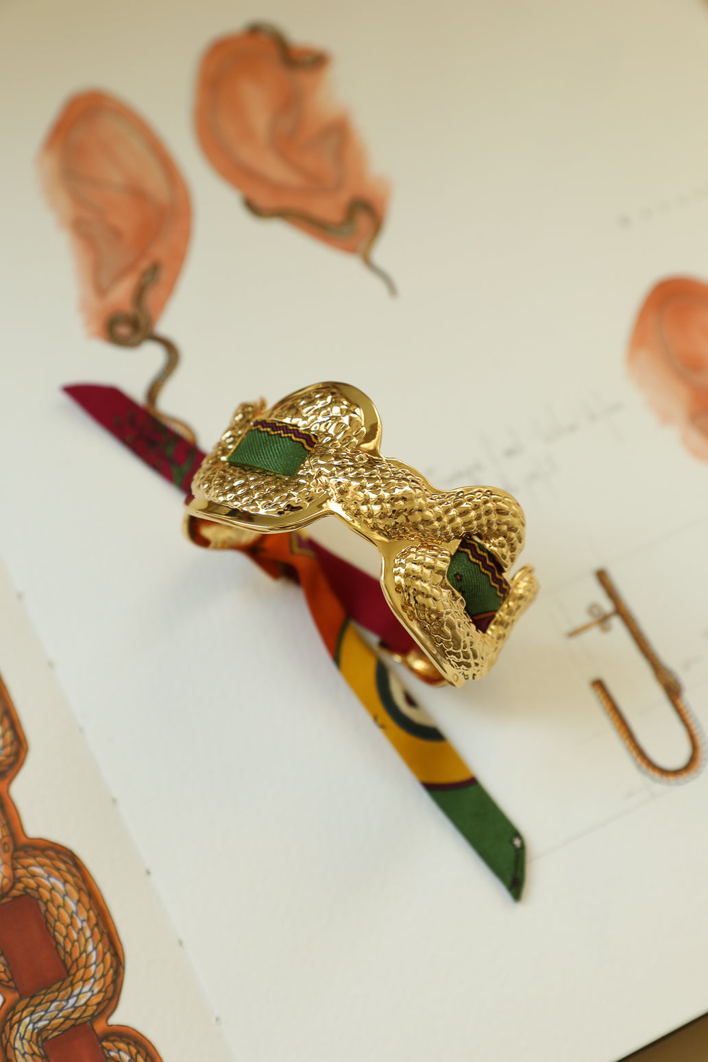 Manchette Serpentaire et ruban Taureau