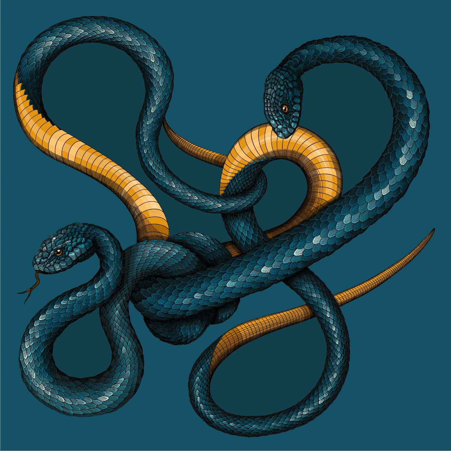 Carré de soie 90cm Serpents, Bleu