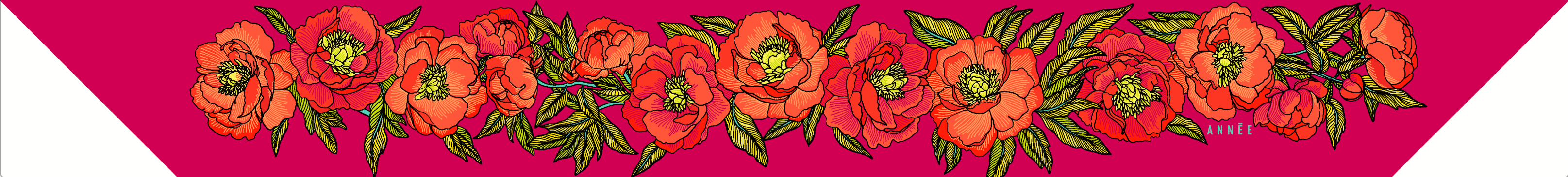 Pivoines Flashy