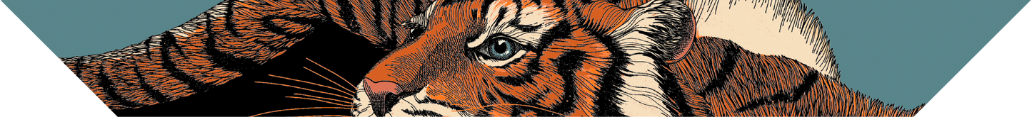 Ruban en soie 4cm Tigre, Neutre