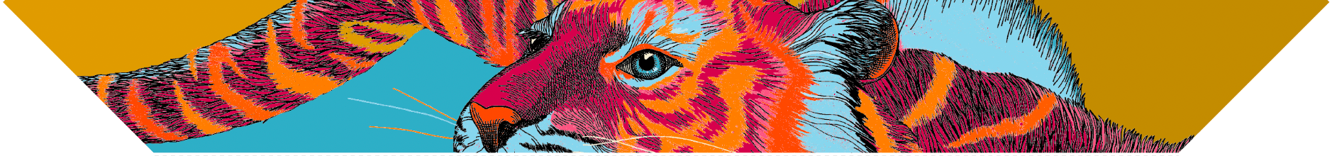 Tigre Pop